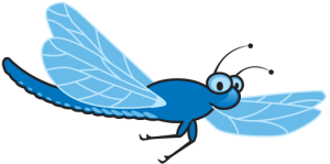 dragonfly