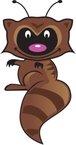 raccoon