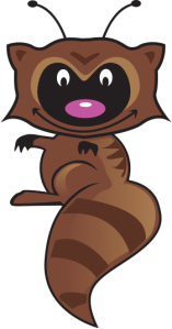 raccoon