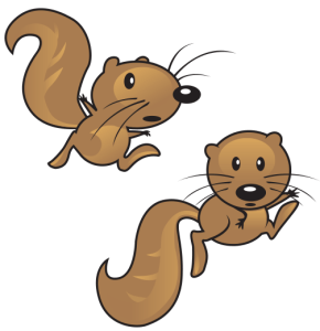 squirrels